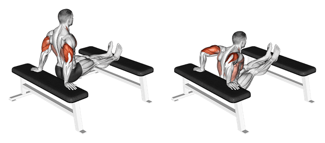 Dips entre deux bancs Dips entre deux bancs — exercice musculation