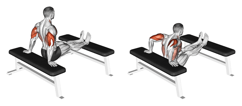 Dips entre deux bancs Dips entre deux bancs — illustration de l'exercice