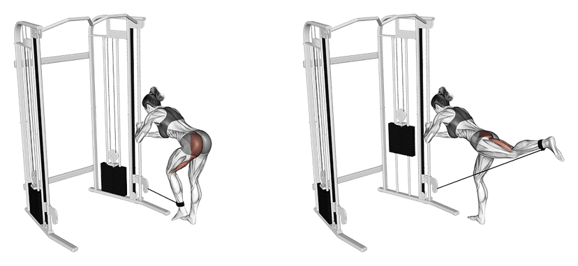 Cable Glute Kickback Cable Glute Kickback — illustration de l'exercice