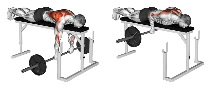 Rowing planche Rowing planche — illustration de l'exercice
