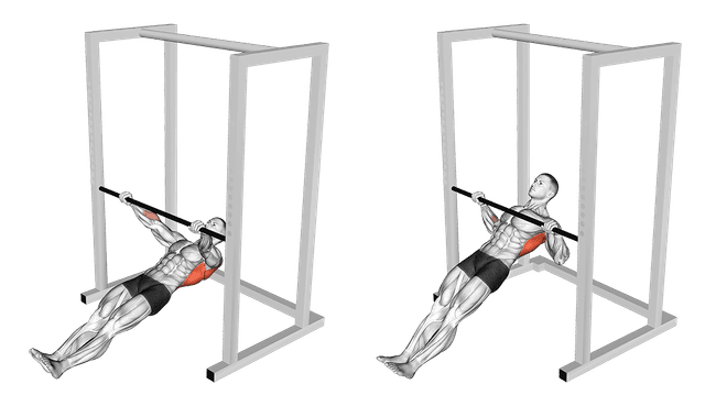 Tractions australiennes Tractions australiennes — exercice musculation