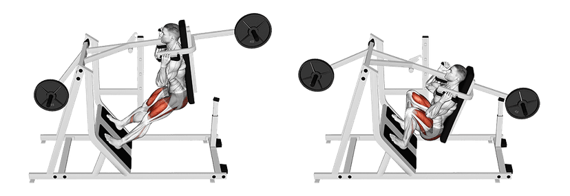 Pendulum squat Pendulum squat — illustration de l'exercice