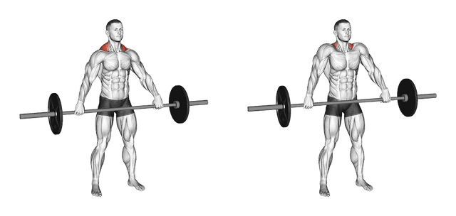 Shrug à la barre Shrug à la barre — exercice musculation