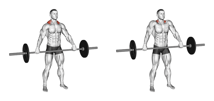 Shrug à la barre Shrug à la barre — illustration de l'exercice