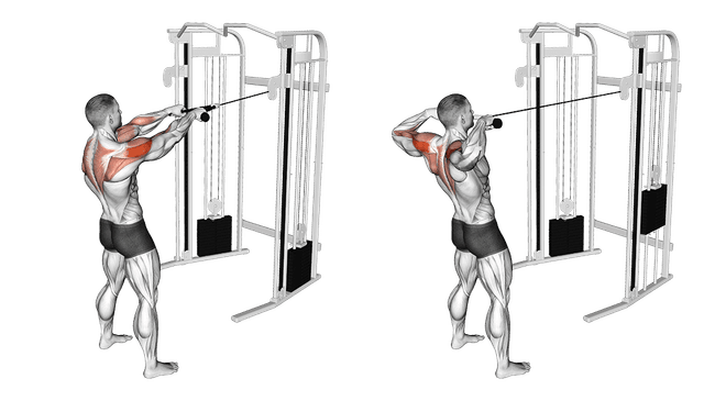 Facepull Facepull — exercice musculation