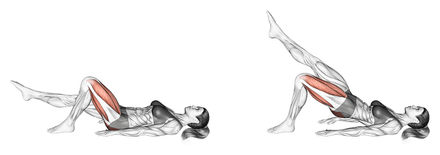 Single leg glute bridge Single leg glute bridge — exercice musculation