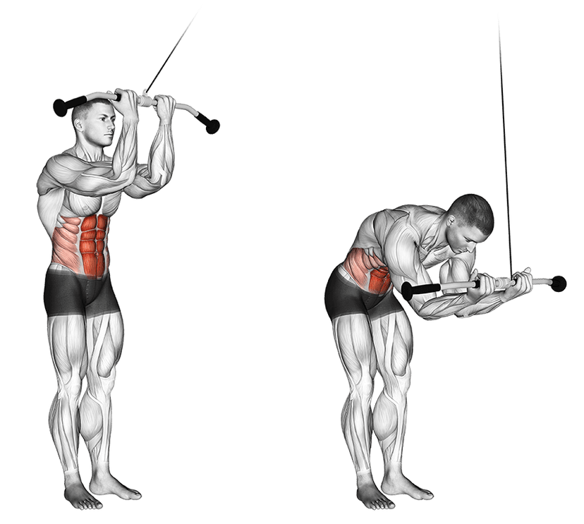 Cable Crunch Cable Crunch — illustration de l'exercice