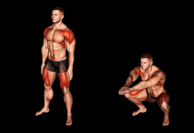 Air squat Air squat — exercice musculation