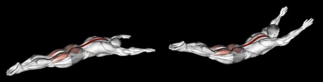 Superman Superman — exercice musculation