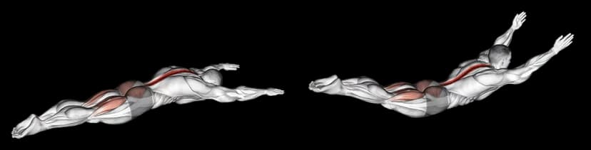 Superman Superman — illustration de l'exercice