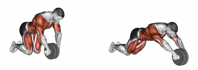 Roue à abdominaux Roue à abdominaux — exercice musculation