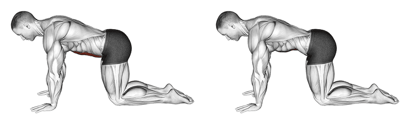 Stomach vacuum Stomach vacuum — illustration de l'exercice